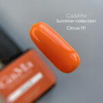 Summer collection 111 Citrus / Літня колекція 111 цитрус