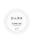 icon 1